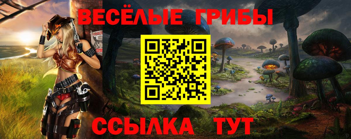 Галлюциногенные грибы ЛСД Карачаевск