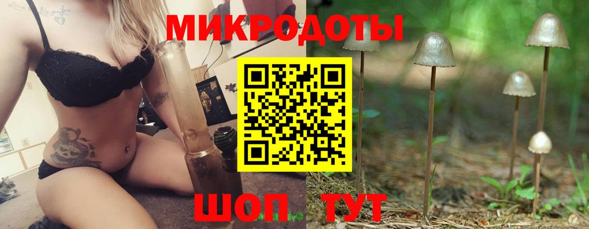 Псилоцибиновые грибы Cubensis  Псилоцибиновые грибы прущие грибы  Вход с VPN  Карачаевск 